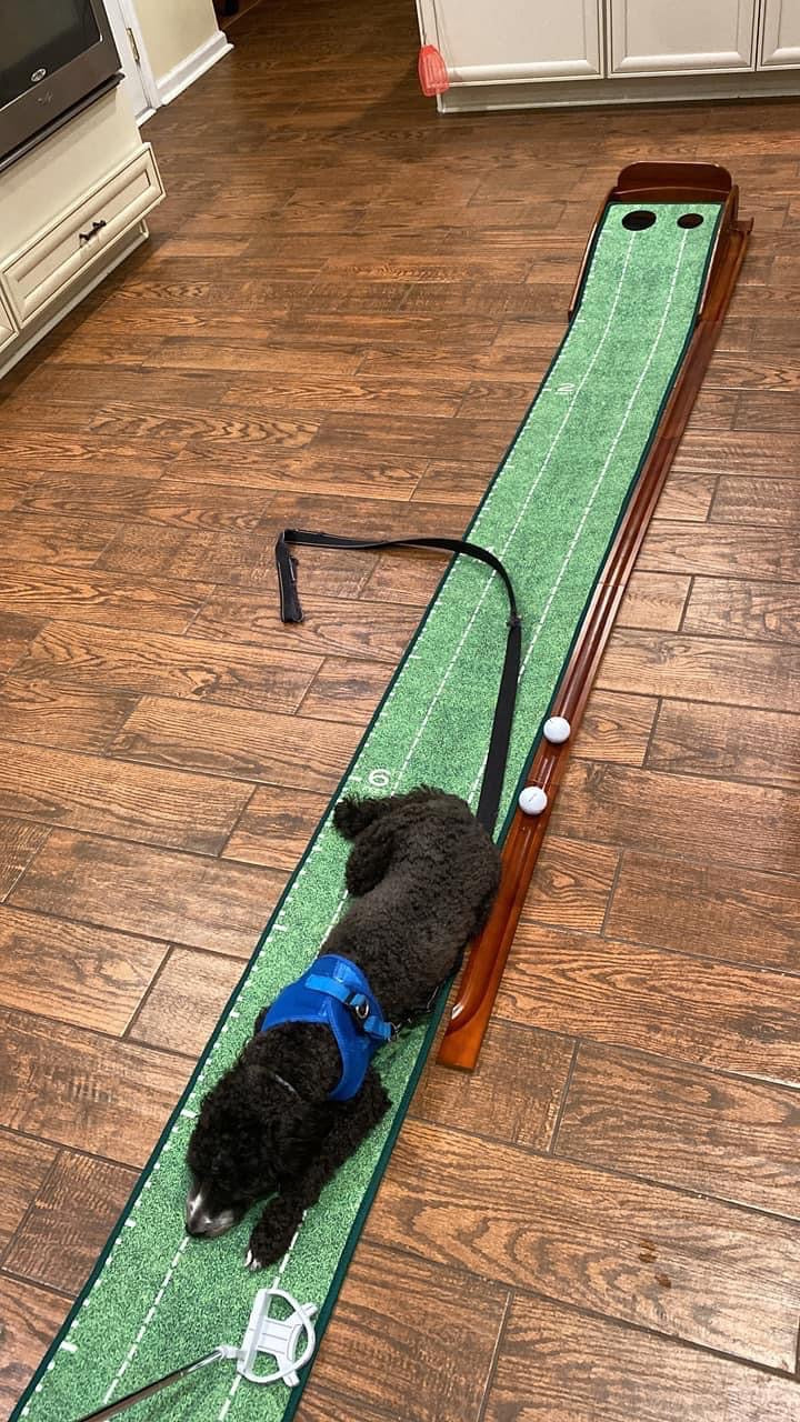 Golf Putting mat Green Indoor and Outdoor with Auto Ball