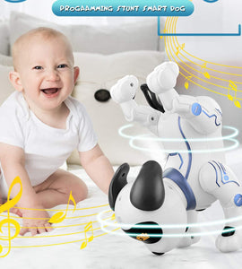 Remote Control Pet Dog Toy