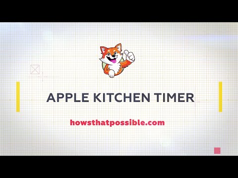 Apple Kitchen Timer Cute Manual, Stainless Steel  Countdown