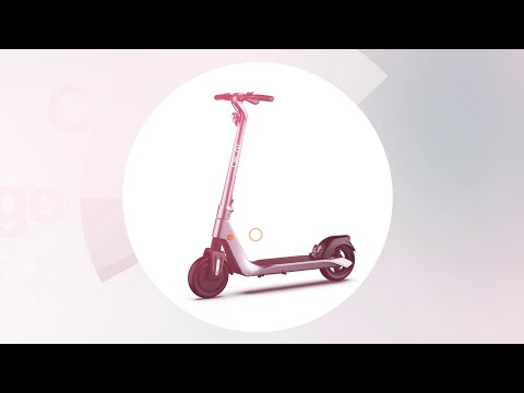 Foldable Adult Electric Scooter