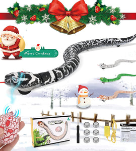 Remote Control Snake