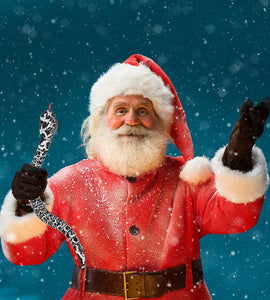 Remote Control Snake